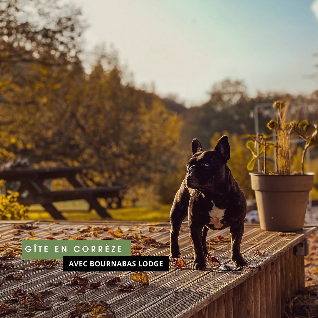 Photo by BOURNABAS LODGE ✨ in Les Bournas, Limousin, France.