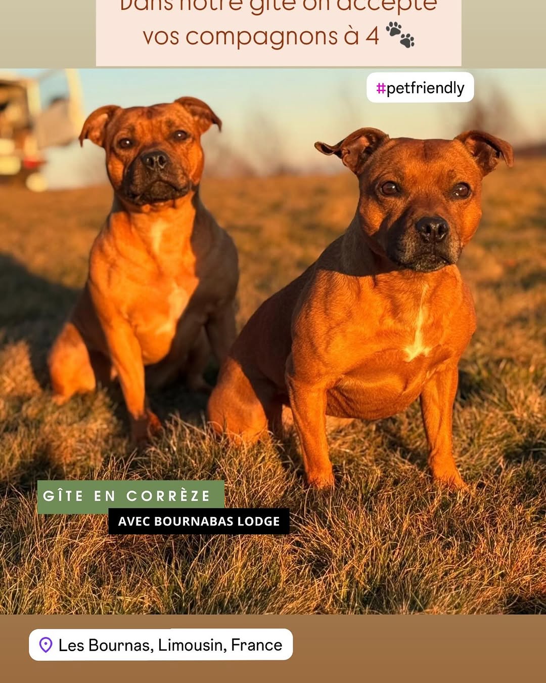 Photo by BOURNABAS LODGE ✨ on February 12, 2025.