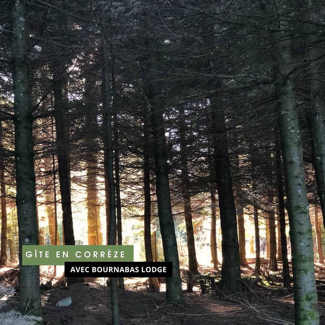 Photo by BOURNABAS LODGE ✨ in Les Bournas, Limousin, France.